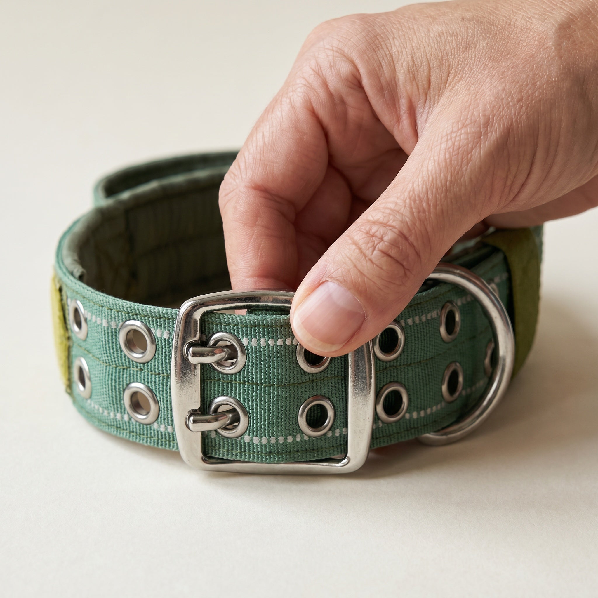 Collier renforcé pour chien avec boucle métallique