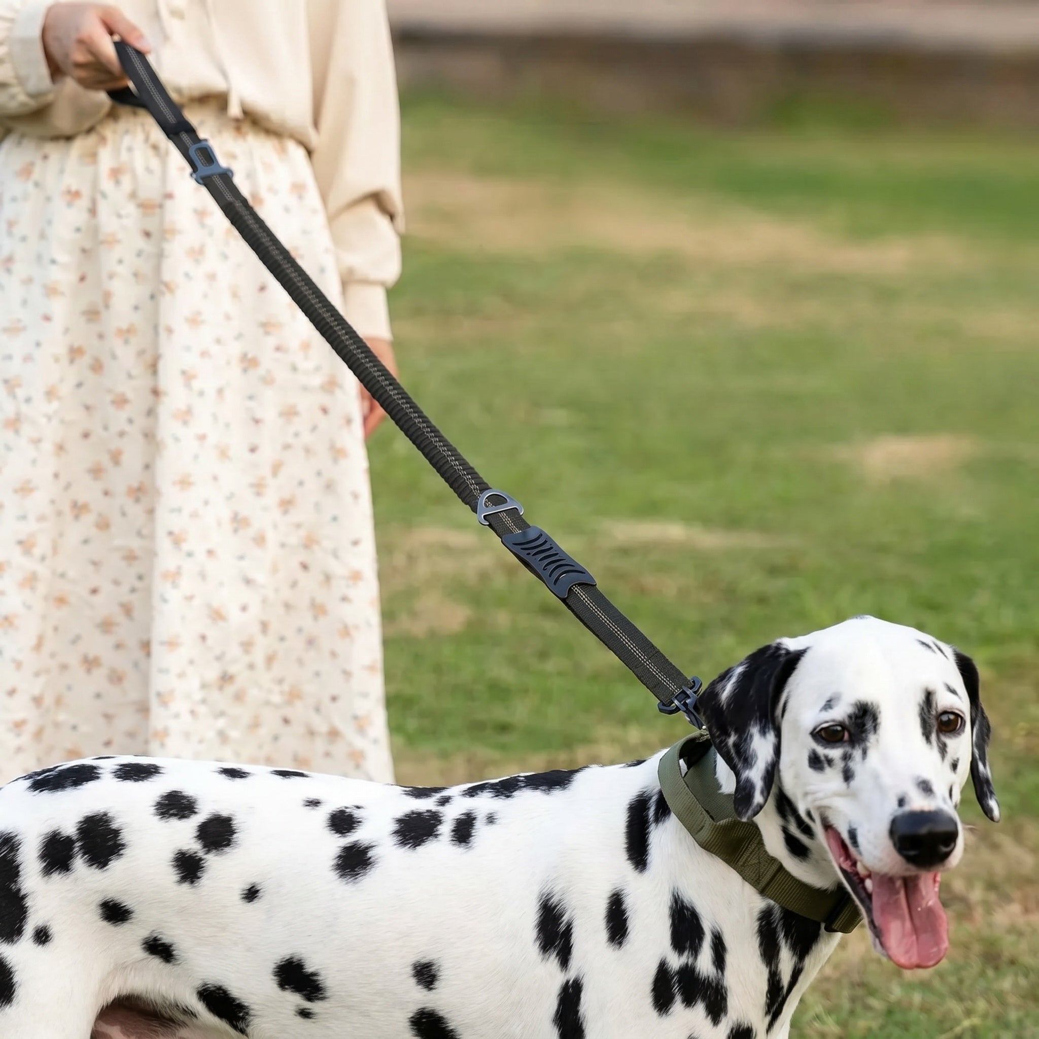 Laisse élastique pour chien avec attache de sécurité