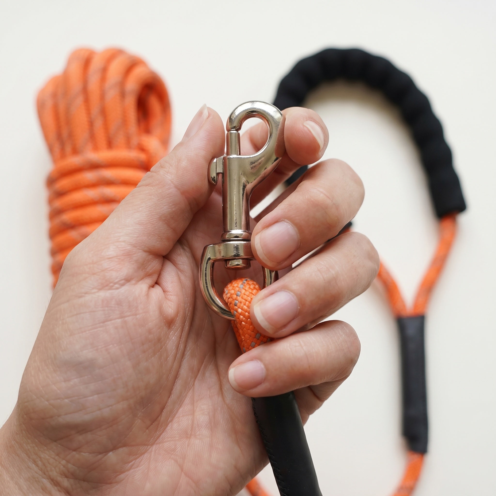 Laisse pour chien en corde tressée