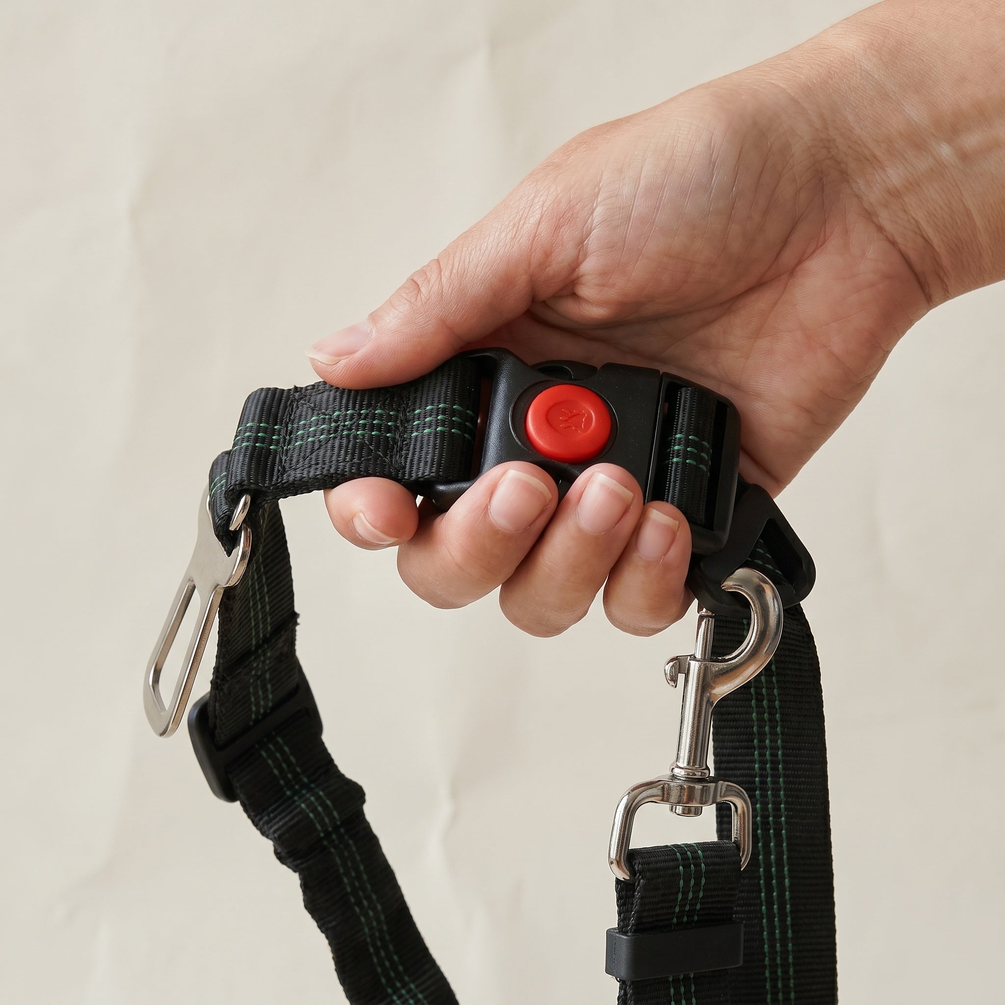 Harnais de sécurité pour chien