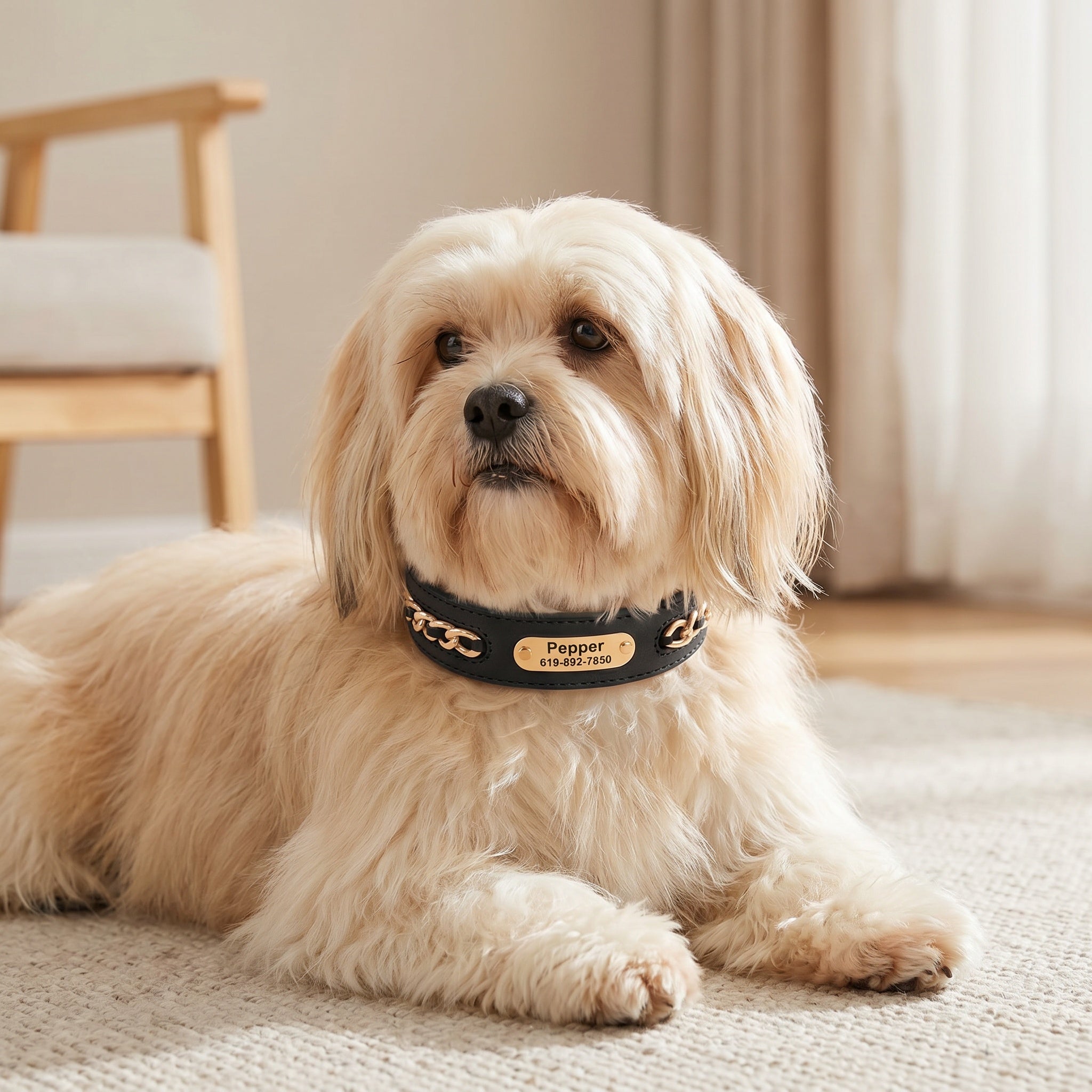 Collier élégant personnalisable en cuir pour chien