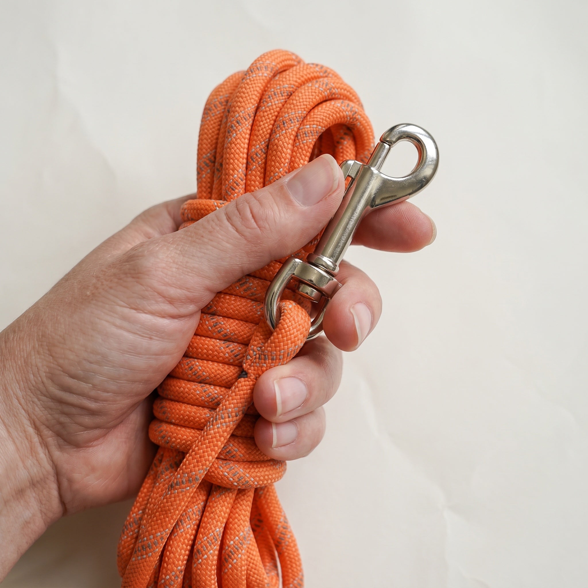 Laisse pour chien en corde tressée