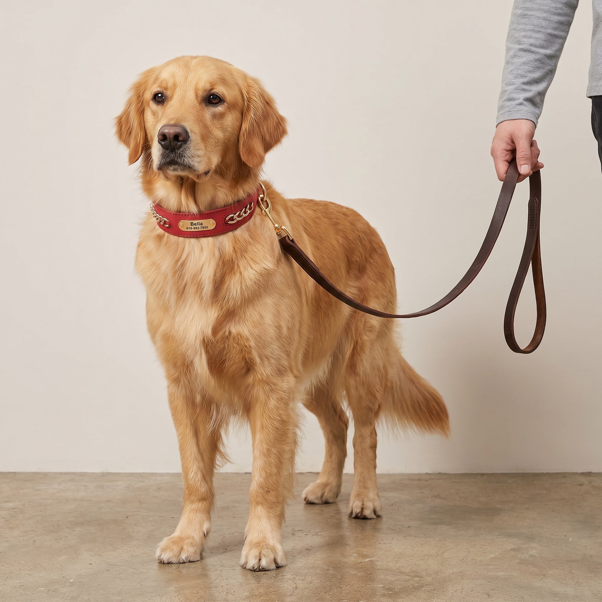 Collier élégant personnalisable en cuir pour chien