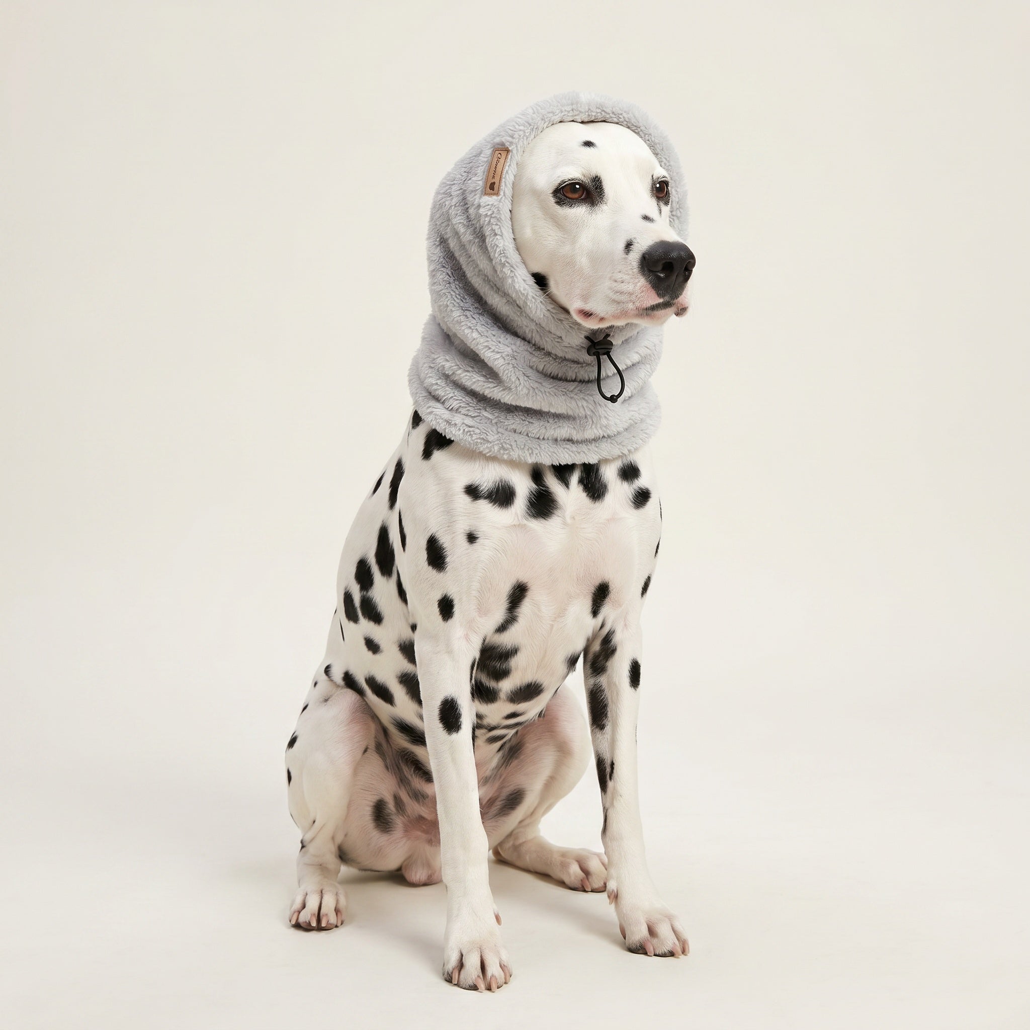 Snood chaud pour chien