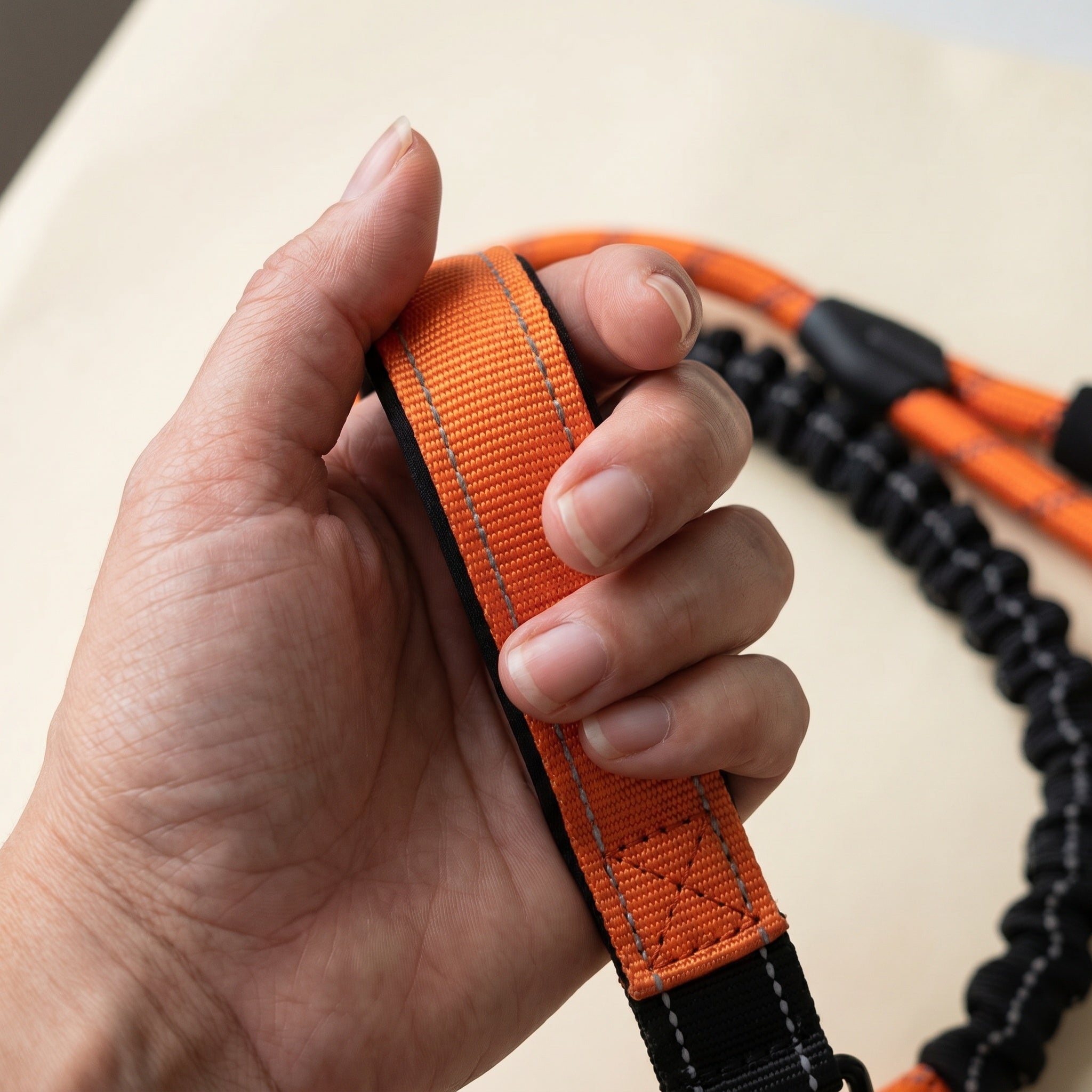 Laisse pour chien double élastique