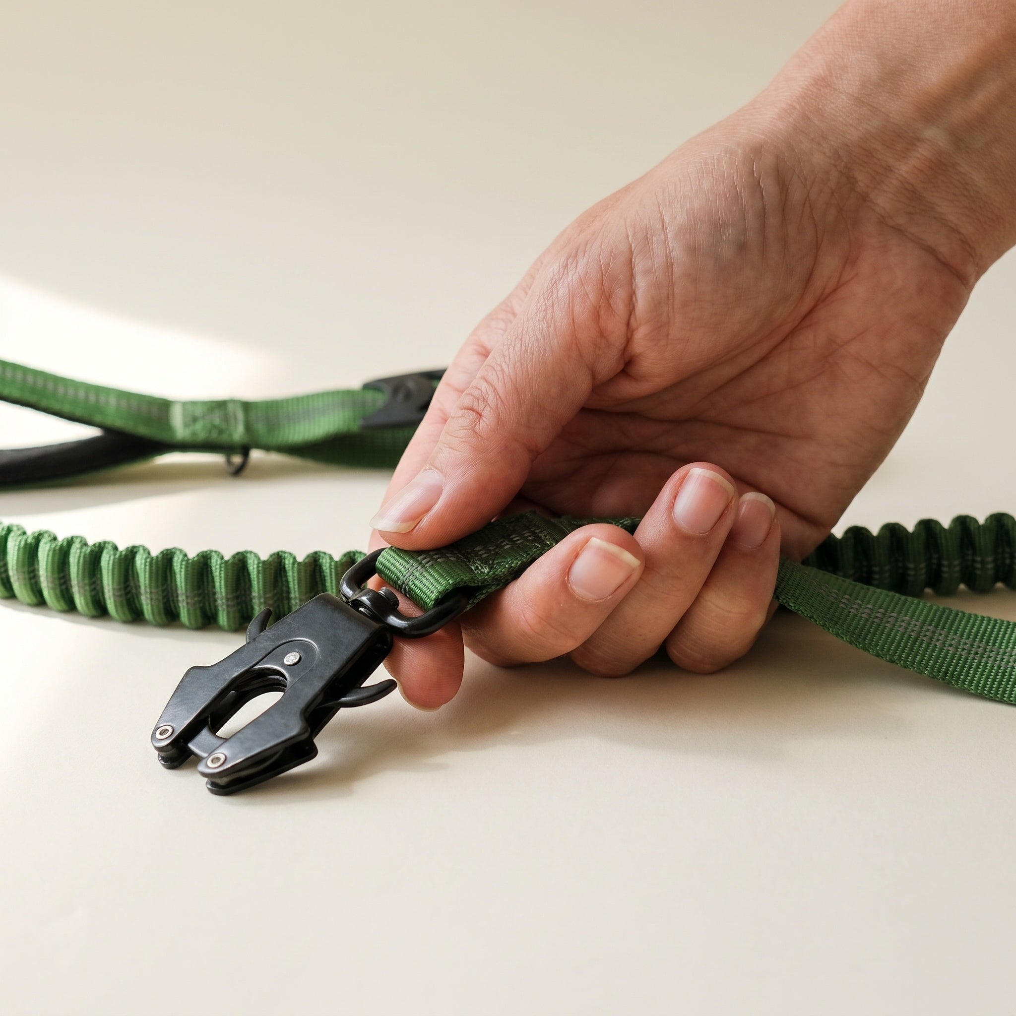 Laisse élastique pour chien avec attache de sécurité