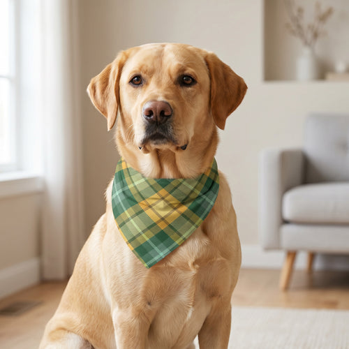 Bandana à carreaux pour chien