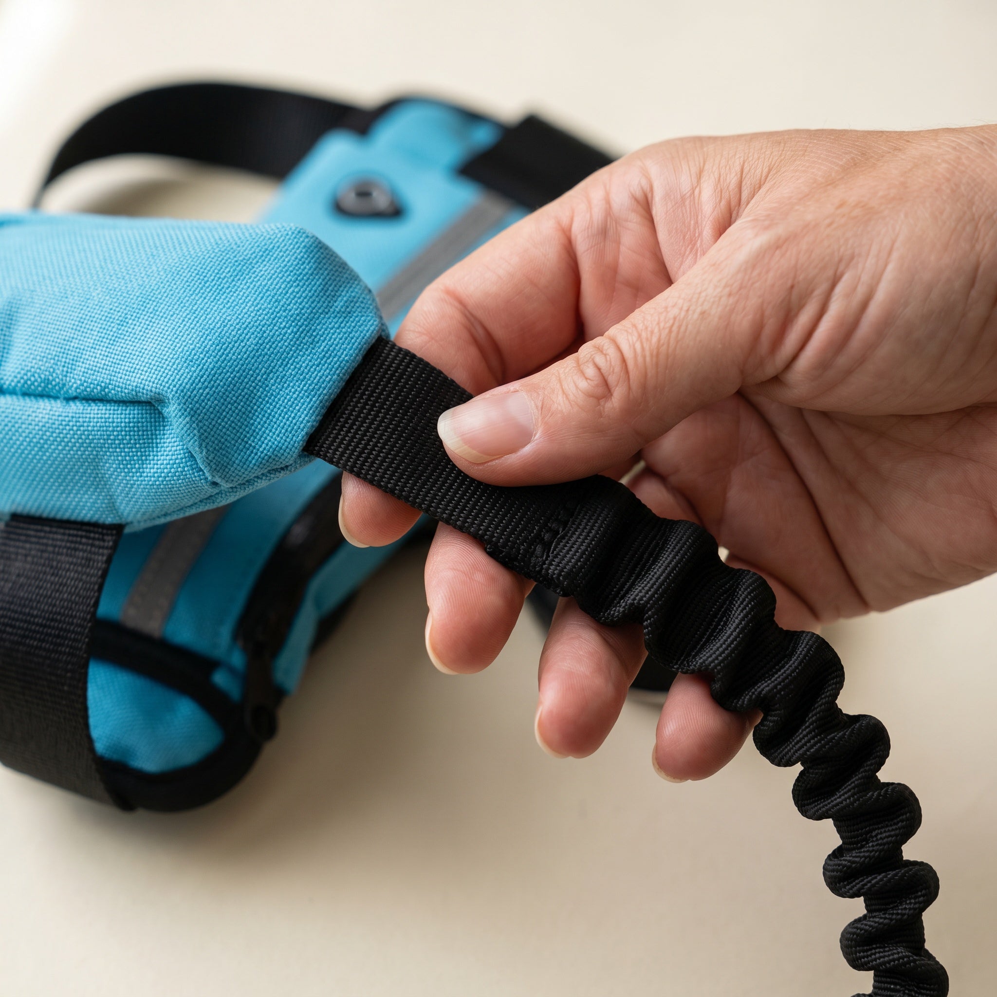 Ceinture de course pour chien avec laisse élastique