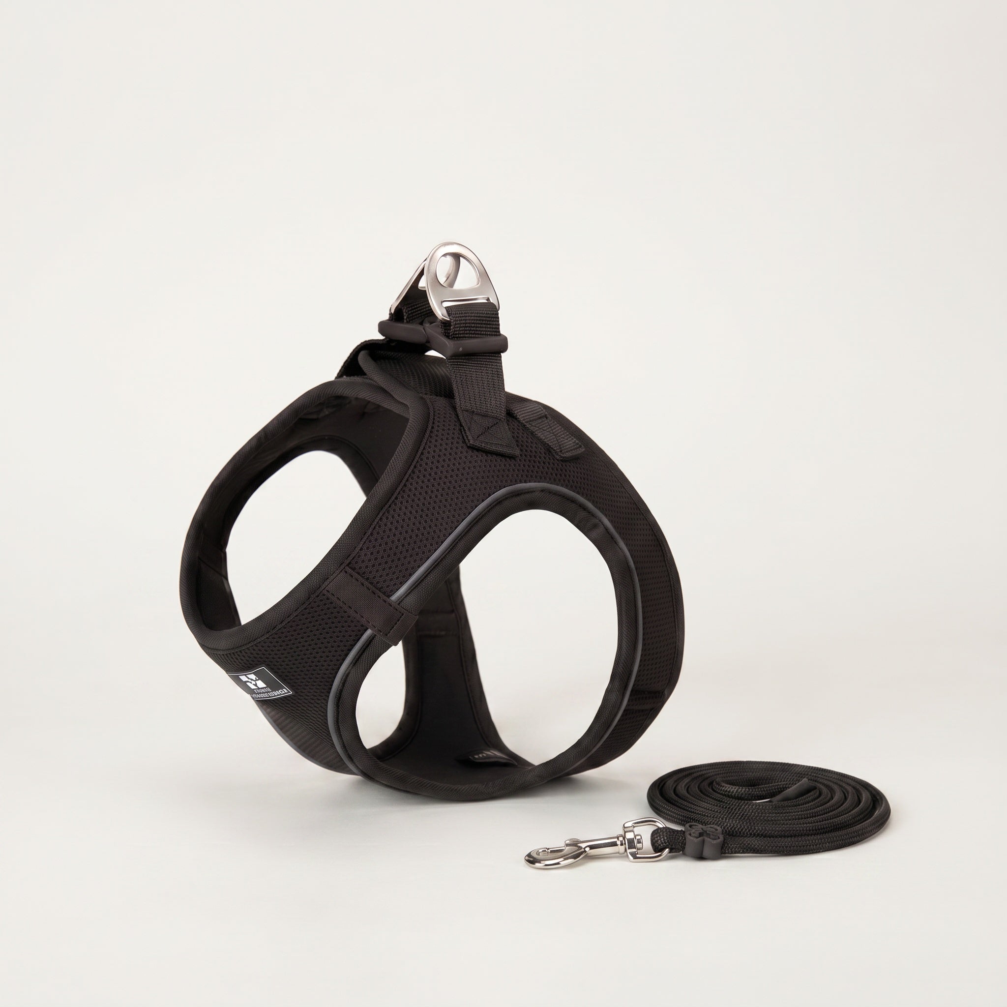 Harnais et Laisse minimalistes pour Chien