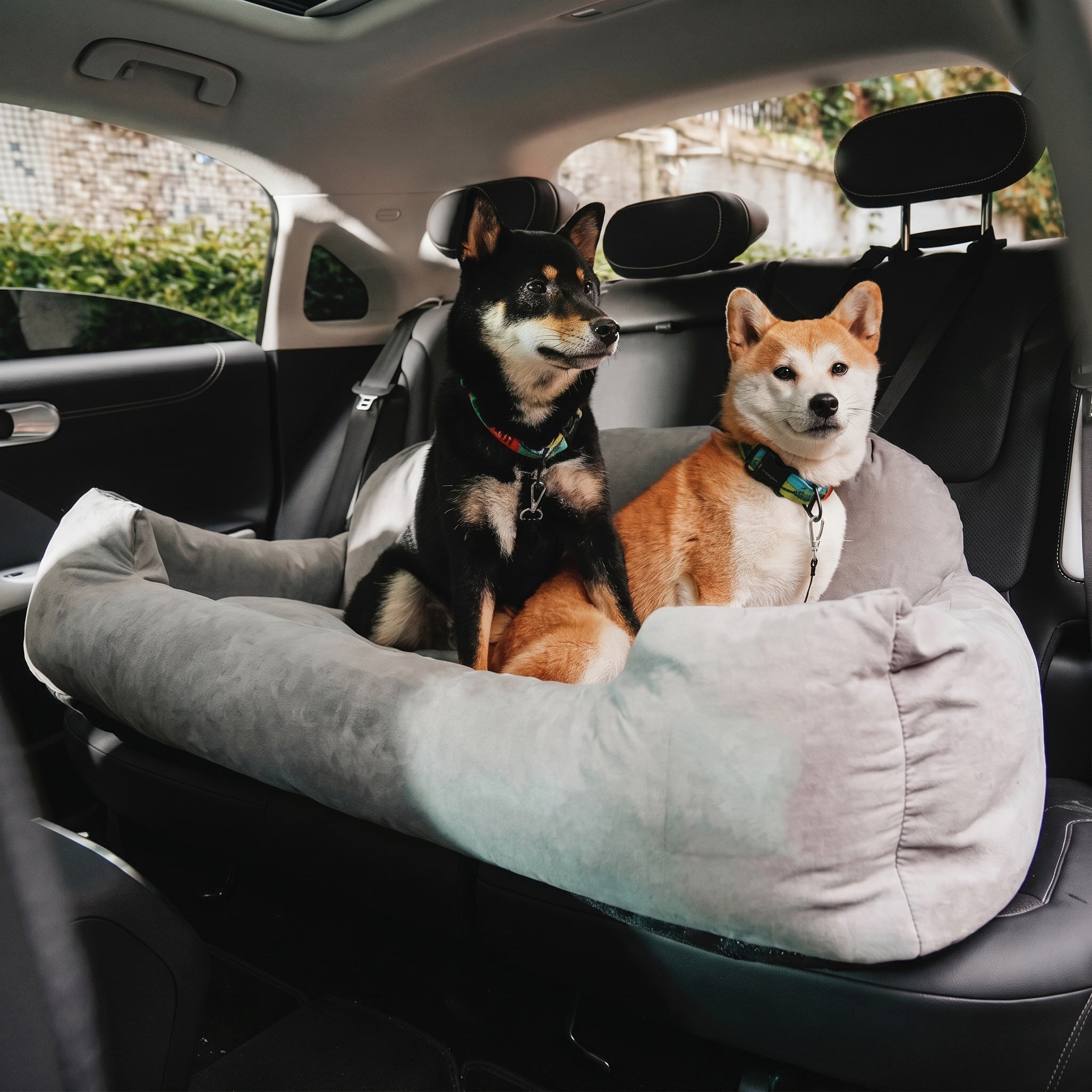 Canapé de voiture pour chien