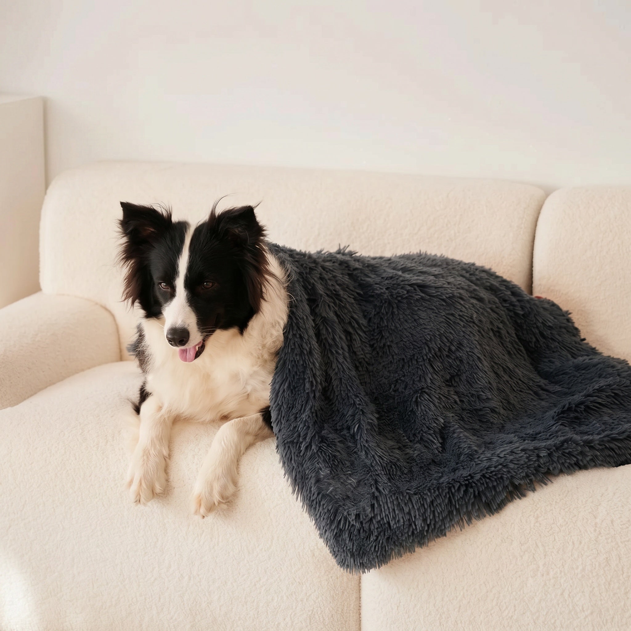 Couverture Douce pour Chien
