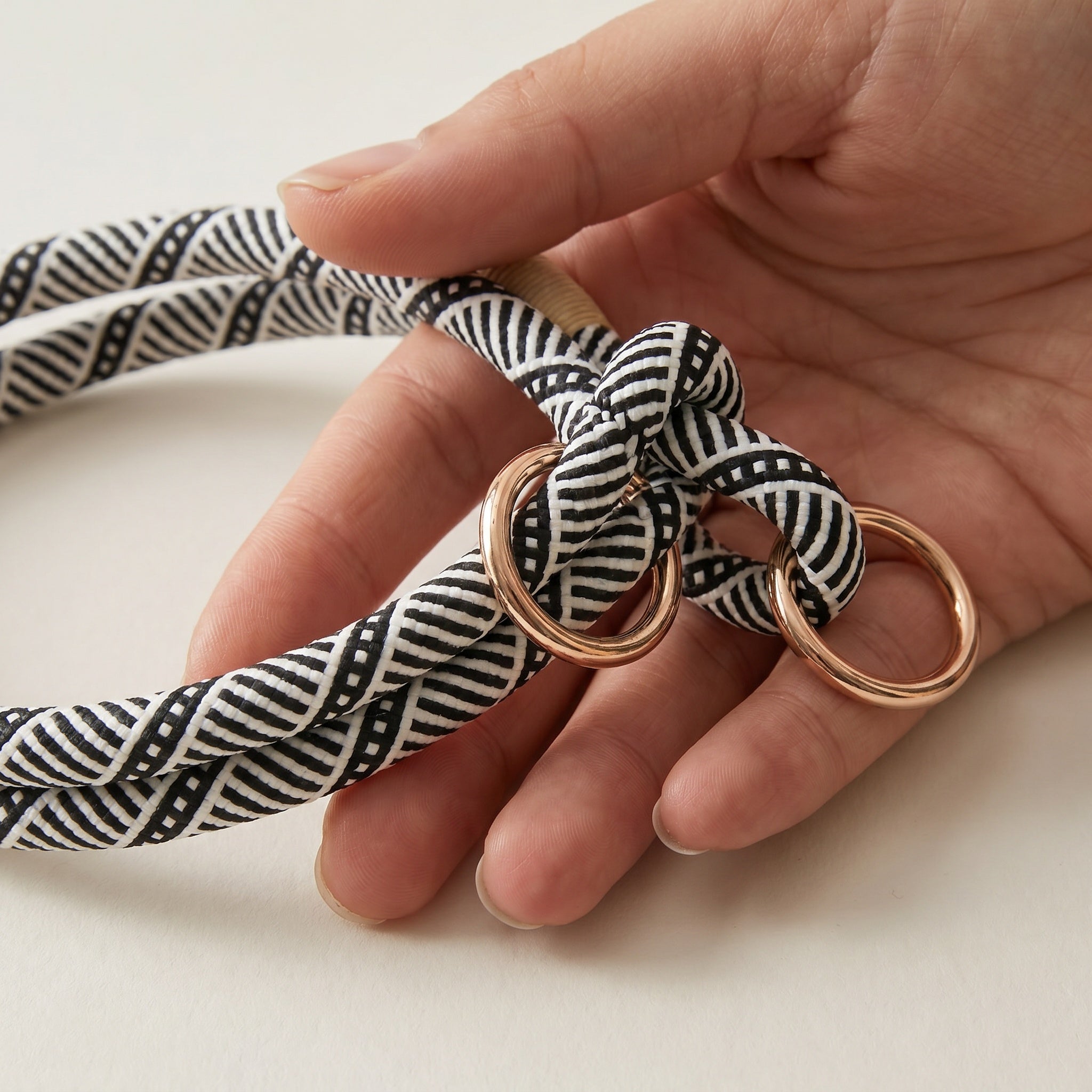Collier pour chien en corde tressée