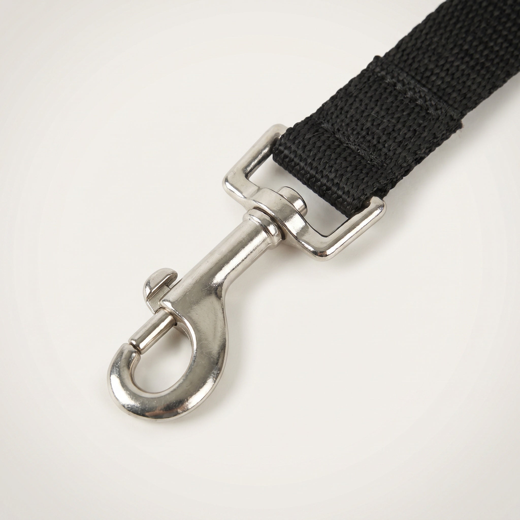 Laisse pour chien en nylon noir