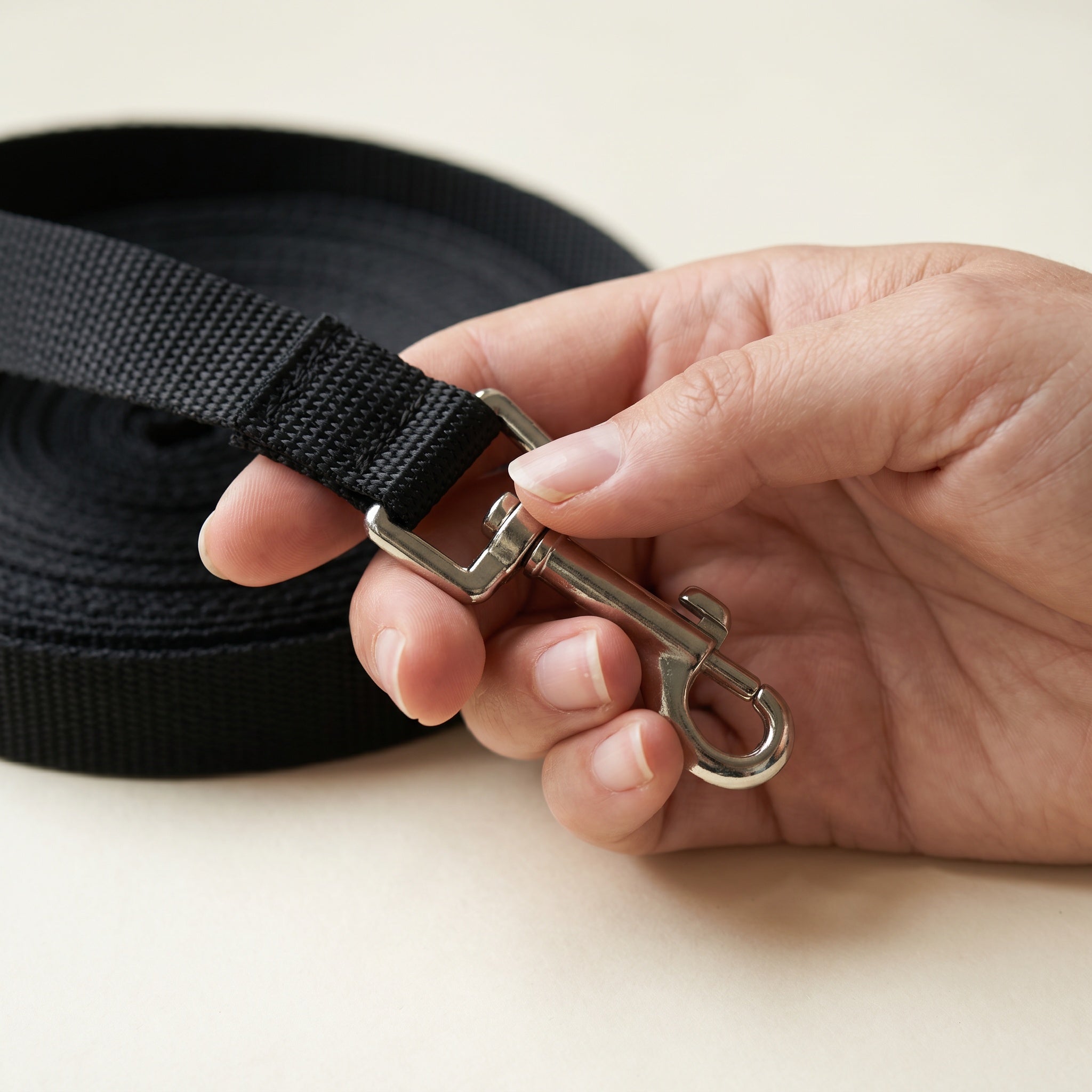 Laisse pour chien en nylon noir