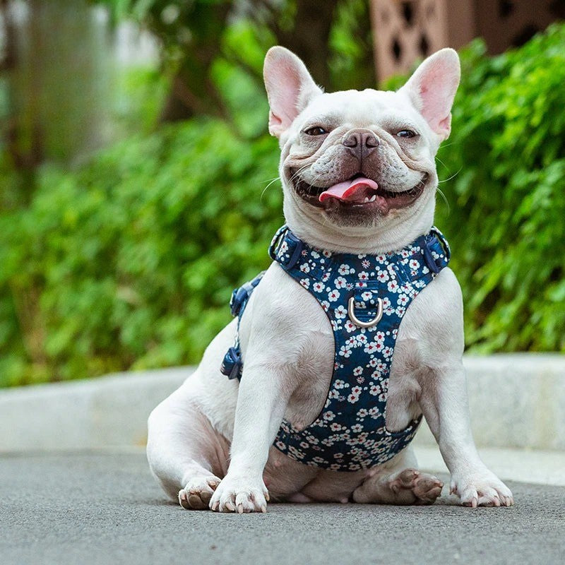 Harnais pour Chien à Motifs Floraux