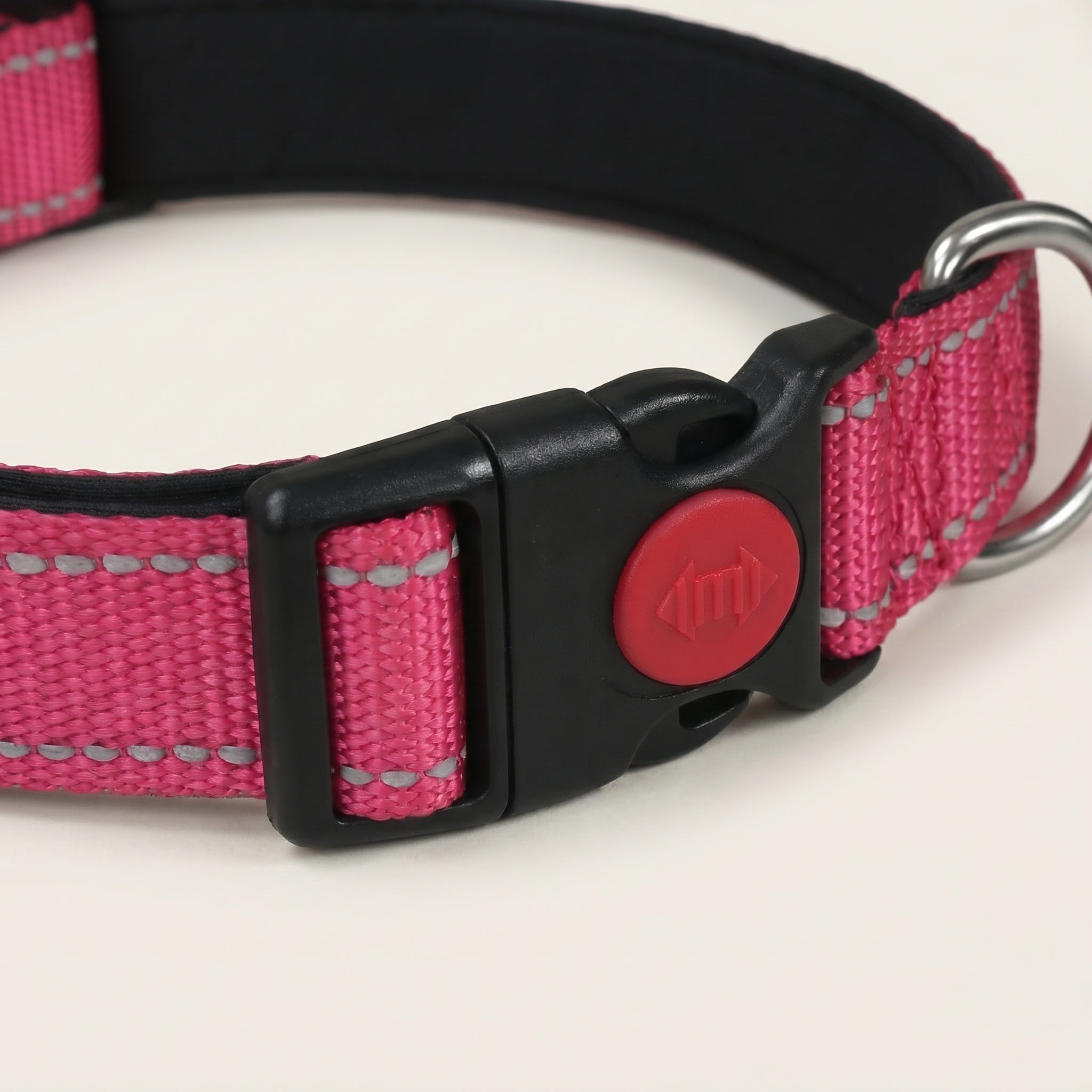 Collier Chien Réglable Sécurisé