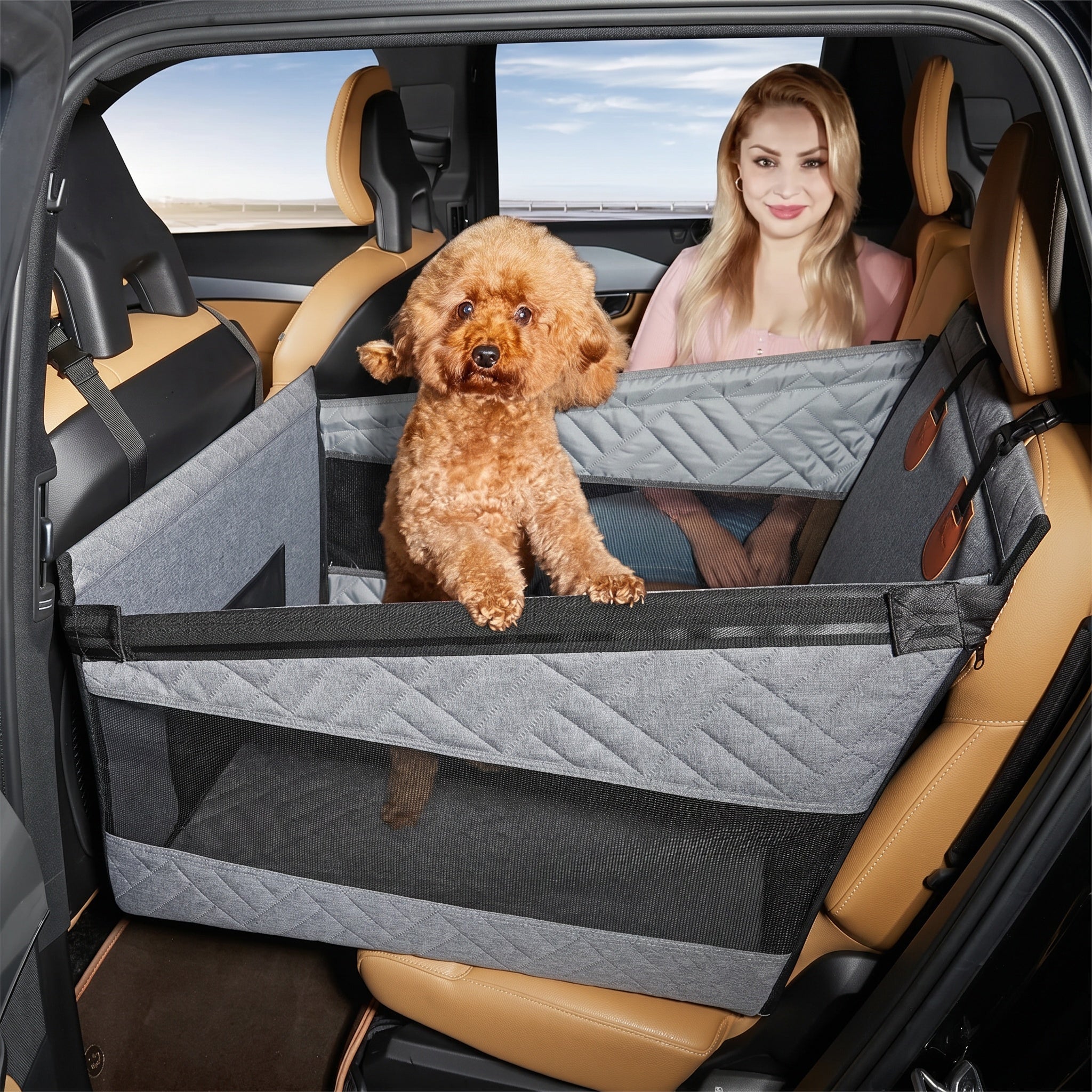 Panier de voiture pour chien