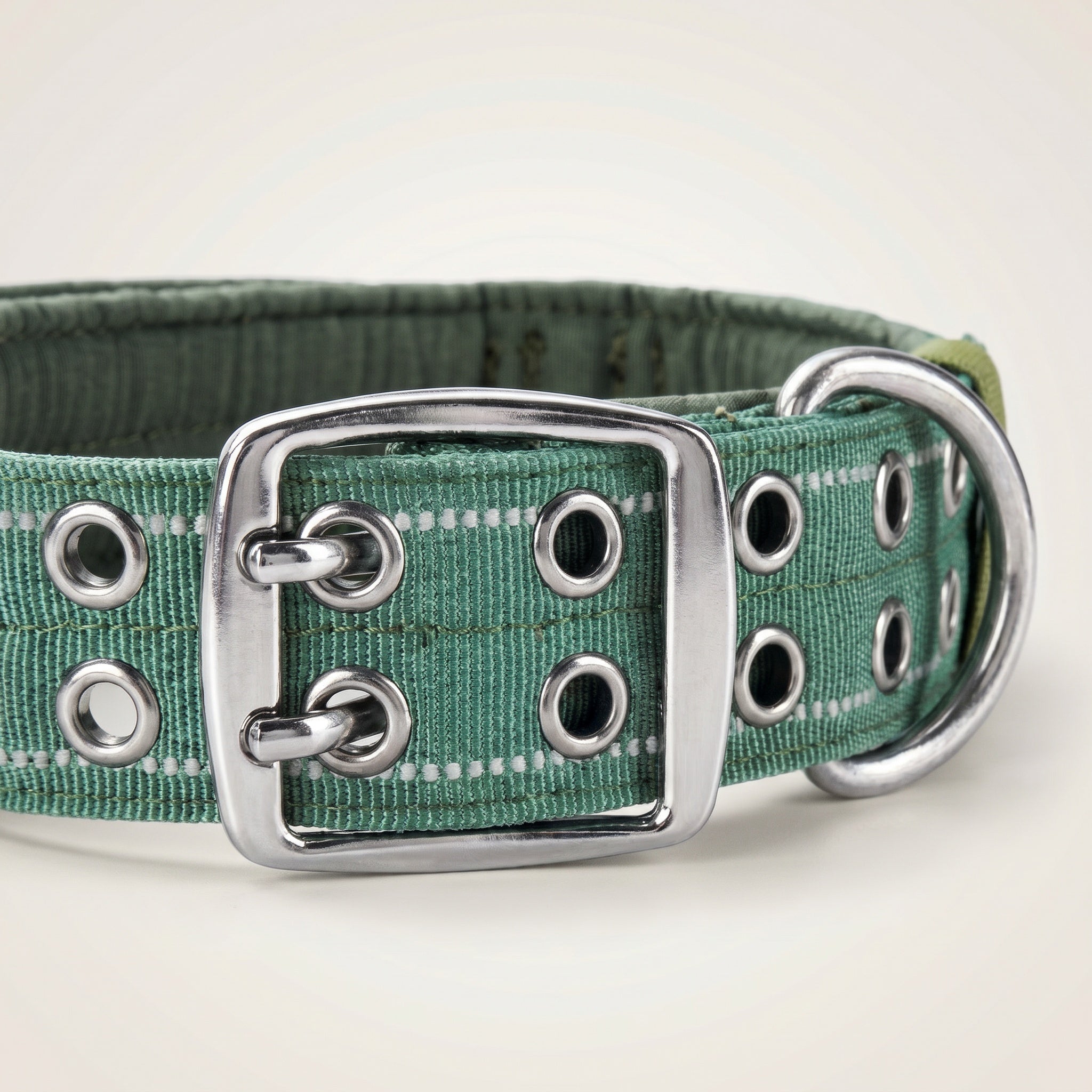 Collier renforcé pour chien avec boucle métallique