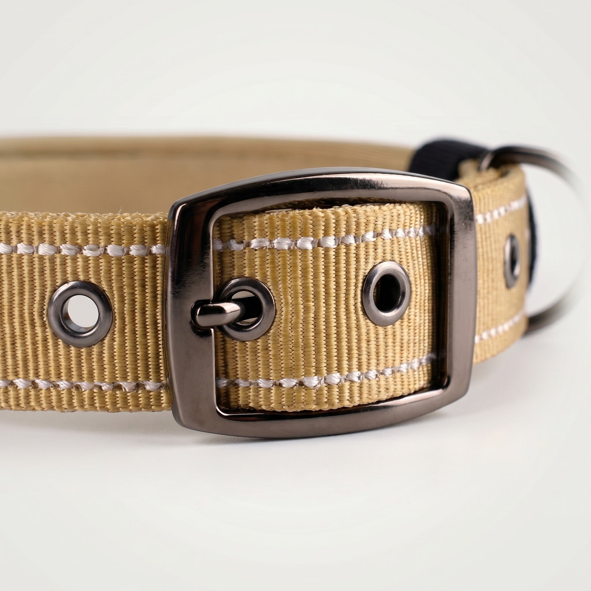Collier rembourré pour chien