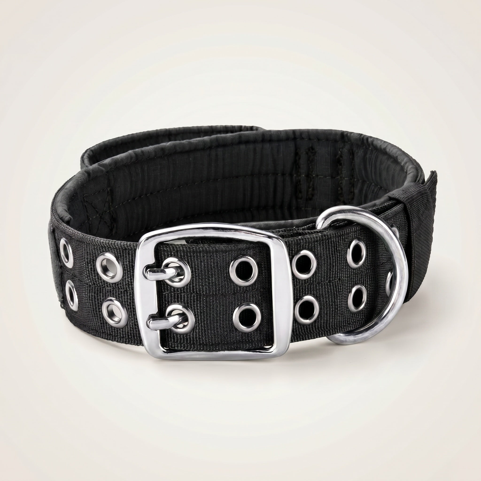 Collier renforcé pour chien avec boucle métallique