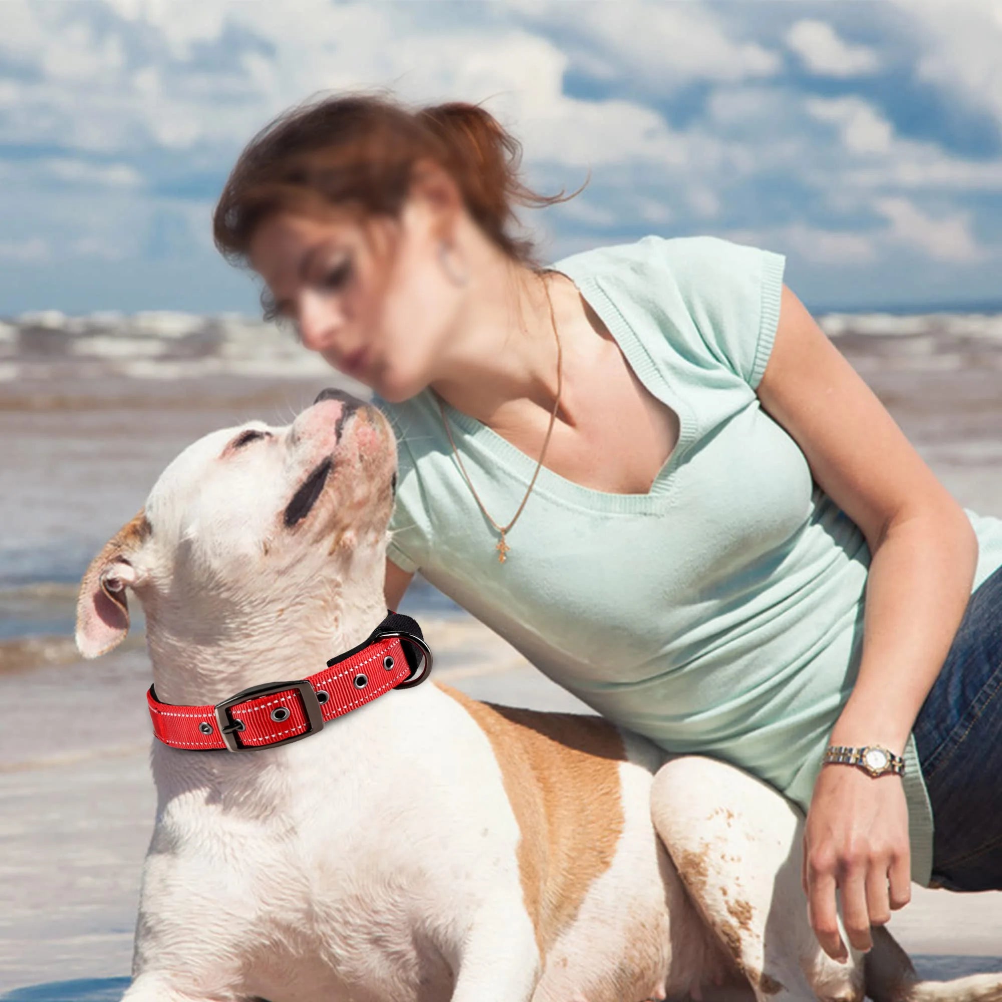 Collier rembourré pour chien