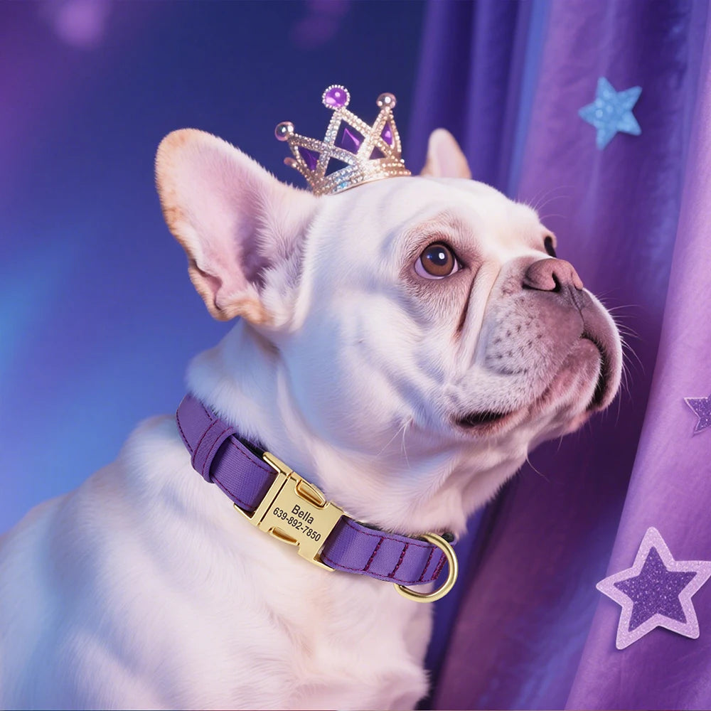 Collier personnalisable pour chien
