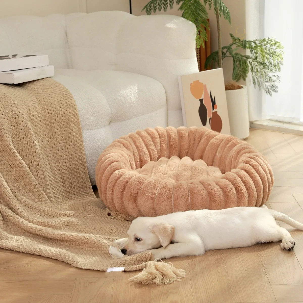 Panier Douillet pour Chien