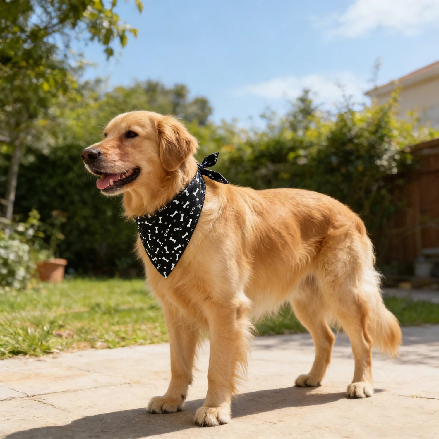 Bandana chien multicolore à motifs