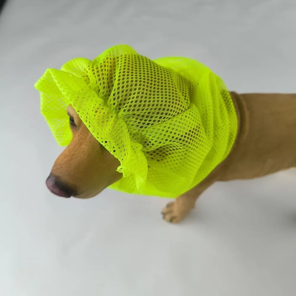 Snood fluo pour chien