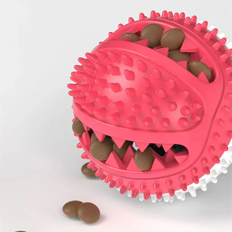 Jouet ventouse distributeur pour chien