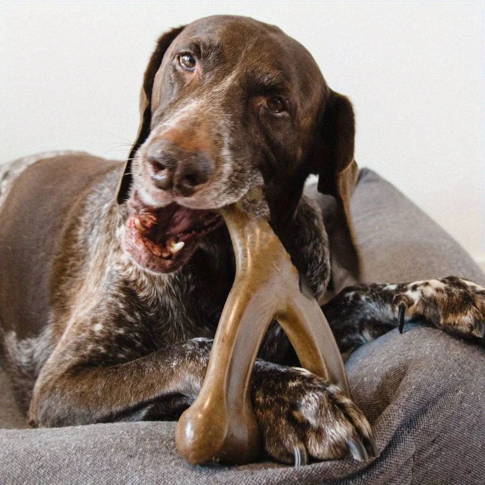 Os à mâcher pour chien