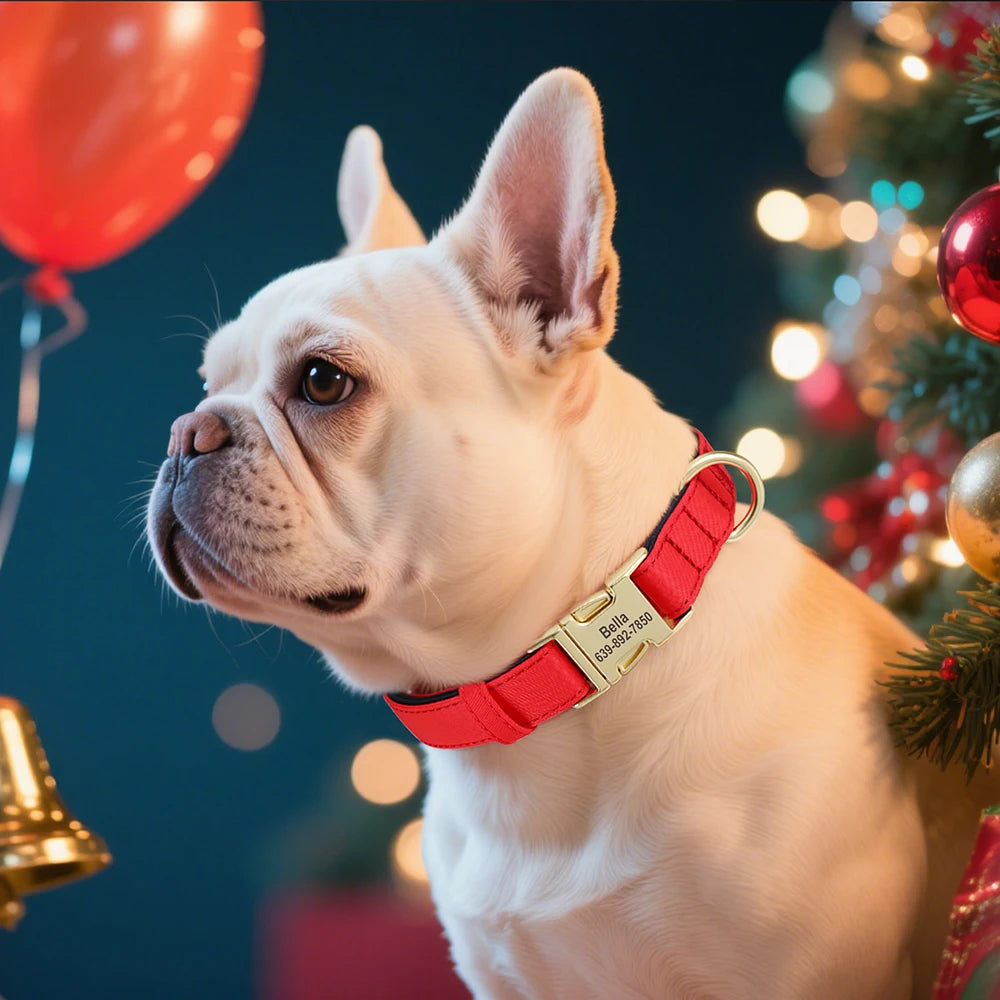 Collier personnalisable pour chien
