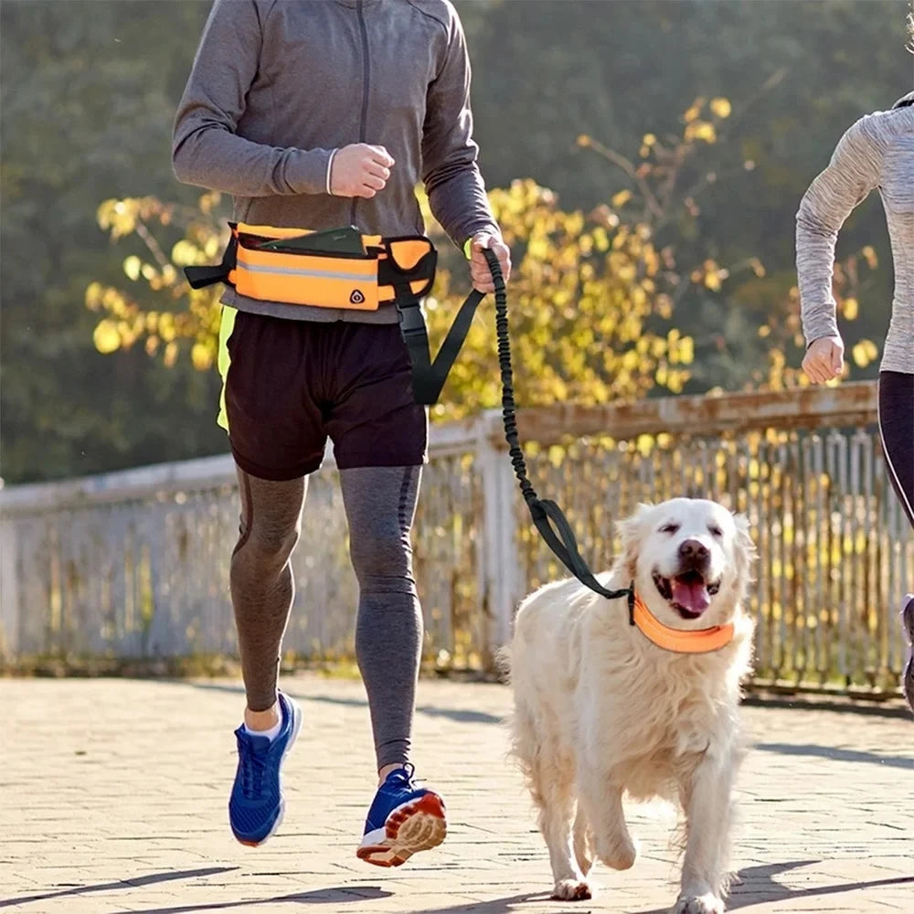 Ceinture de course pour chien avec laisse élastique
