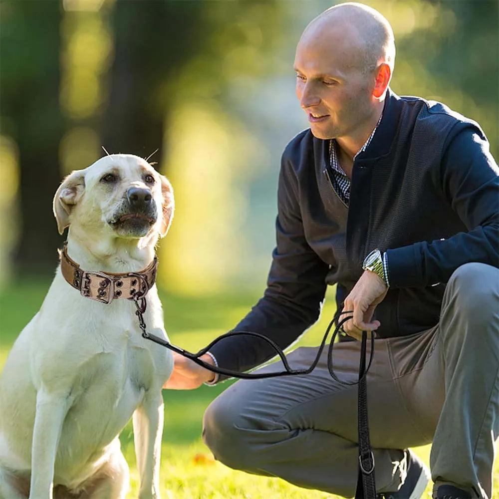 Collier renforcé pour chien avec boucle métallique