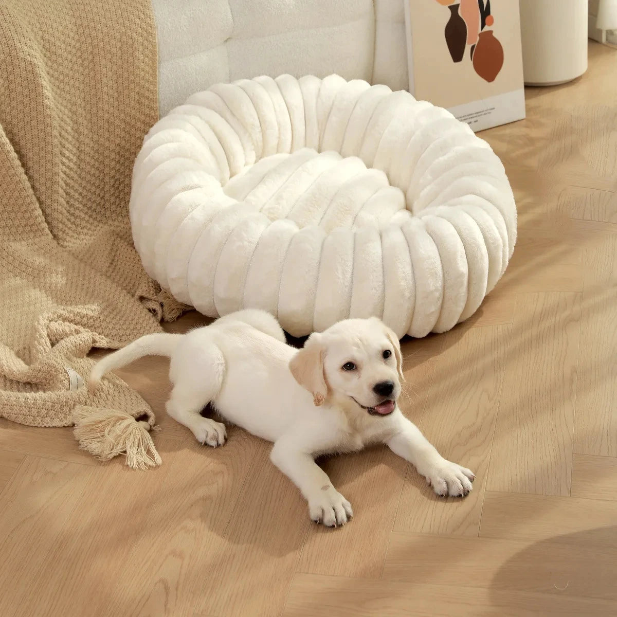 Panier Douillet pour Chien