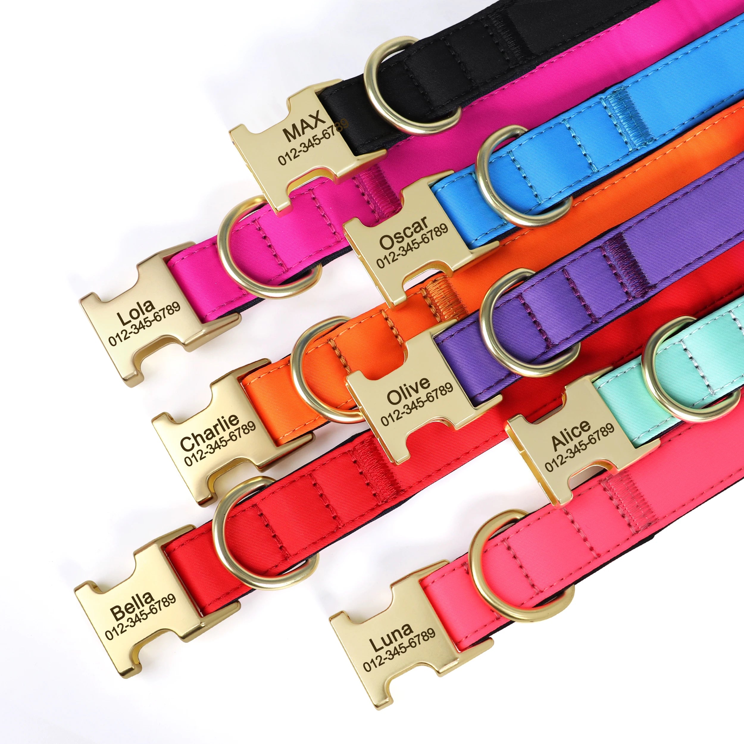 Collier personnalisable pour chien