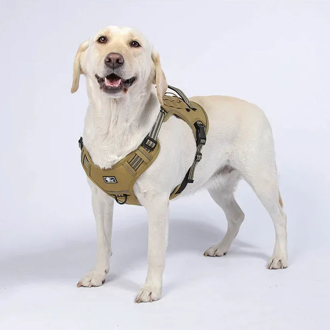 Harnais Résistant et Ajustable pour Chien