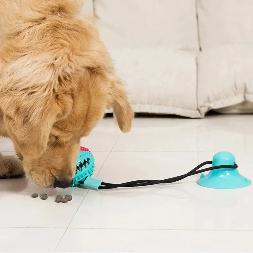 Jouet ventouse distributeur pour chien