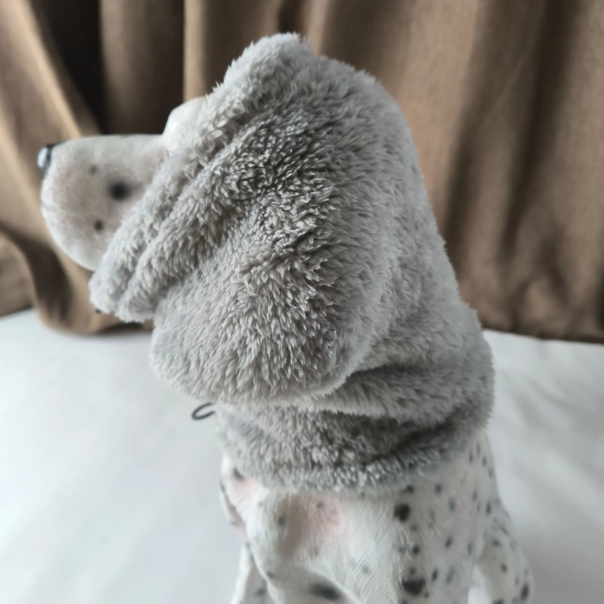 Snood chaud pour chien