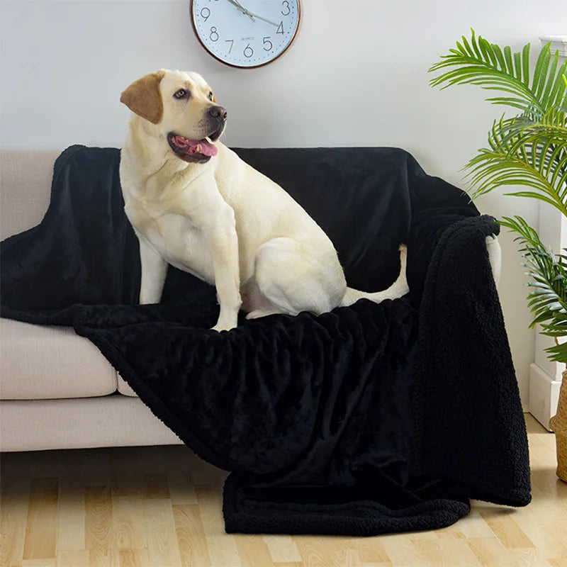 Couverture Douce et Douillette pour Chien