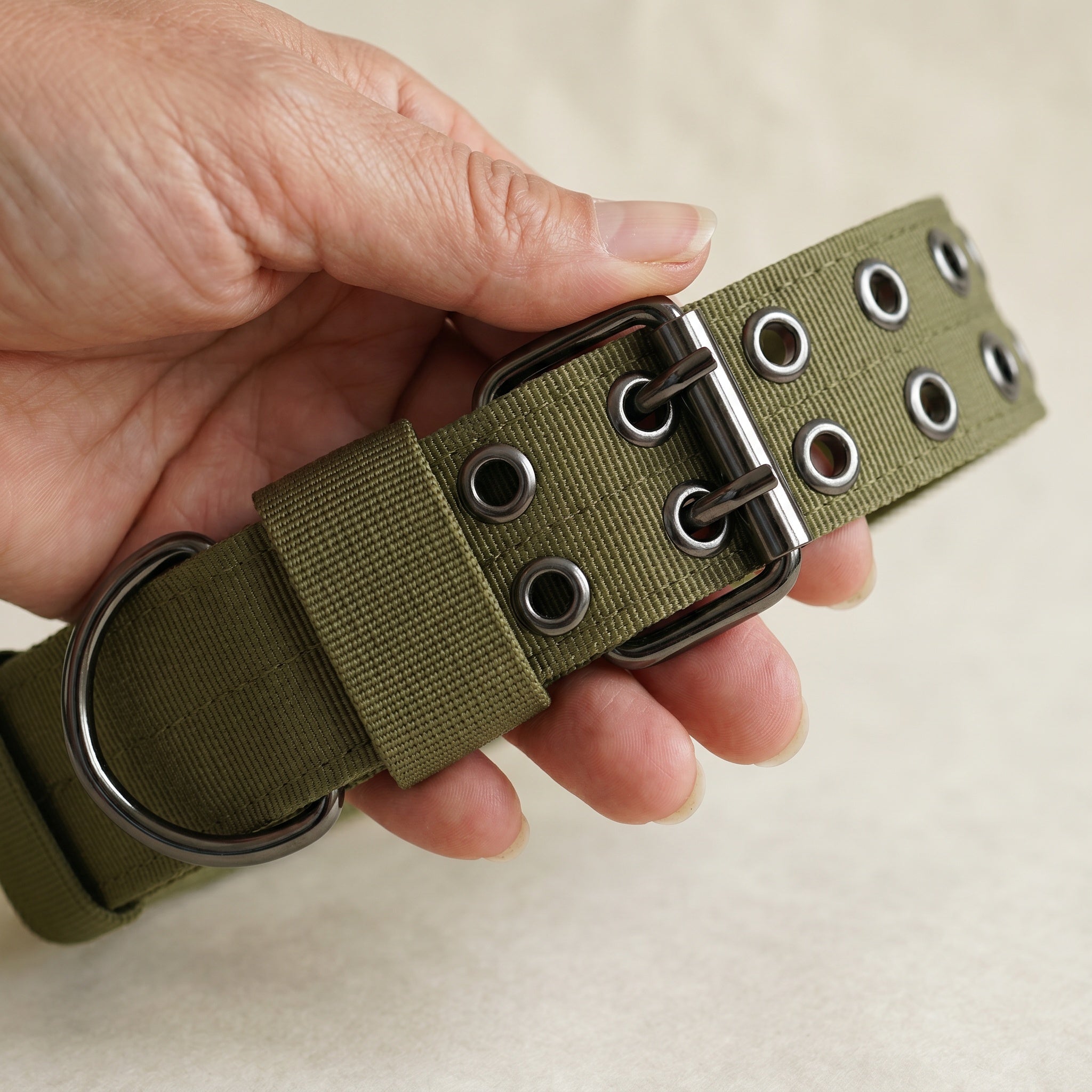 Collier tactique pour chien