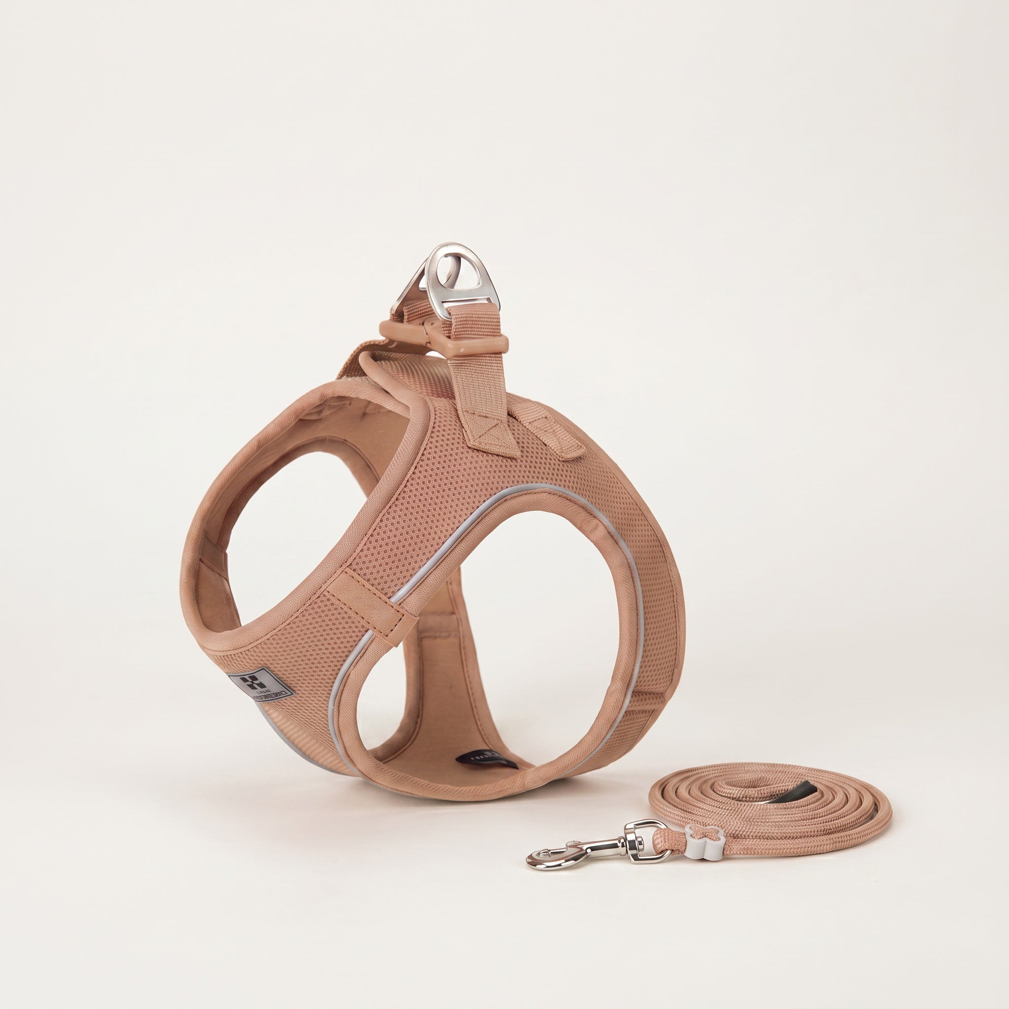 Harnais et Laisse minimalistes pour Chien