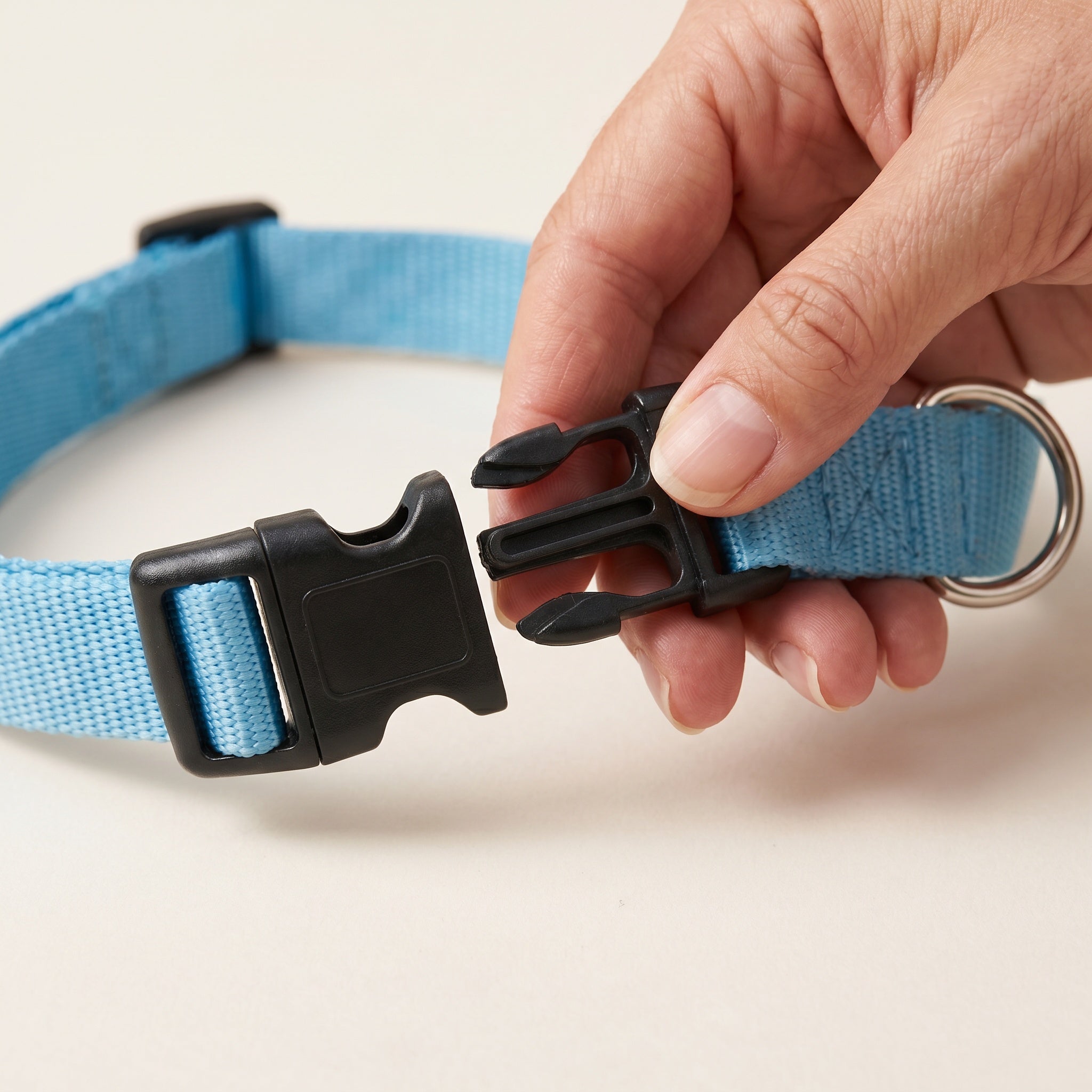 Collier réglable en nylon pour chien