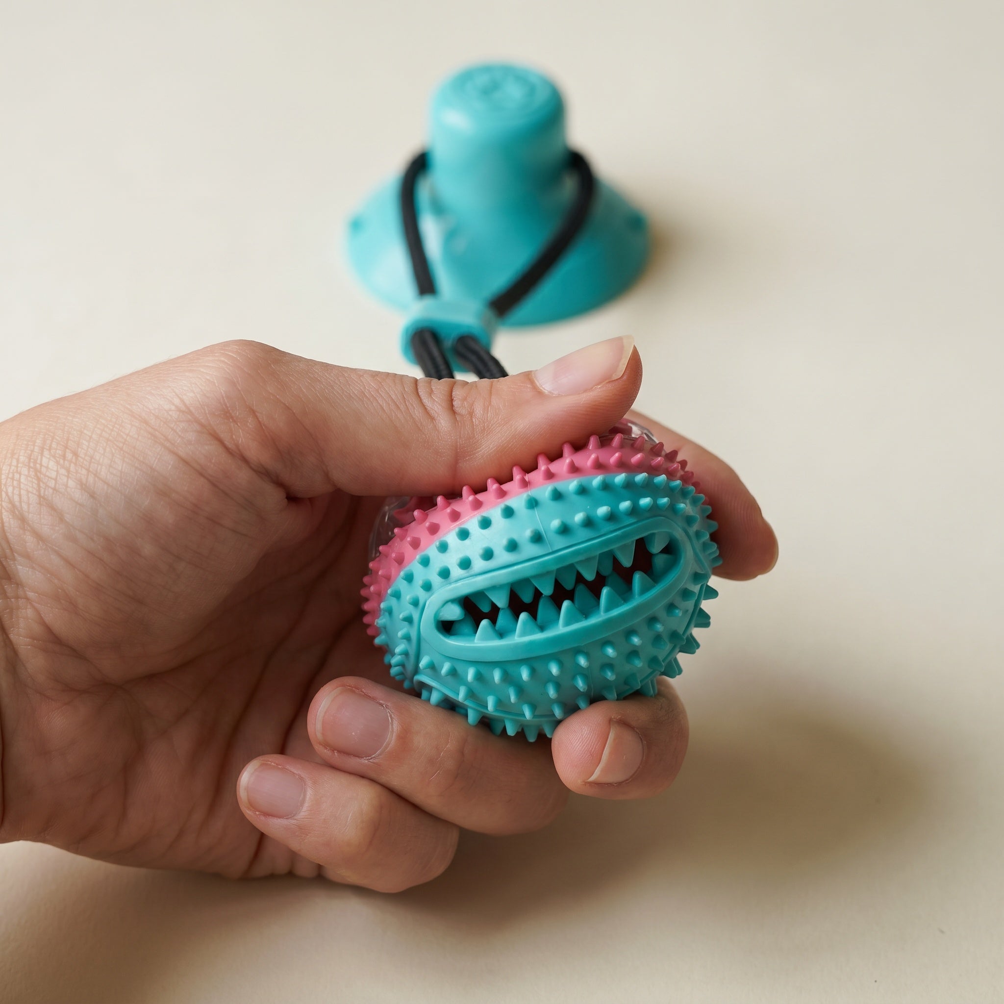 Jouet ventouse distributeur pour chien