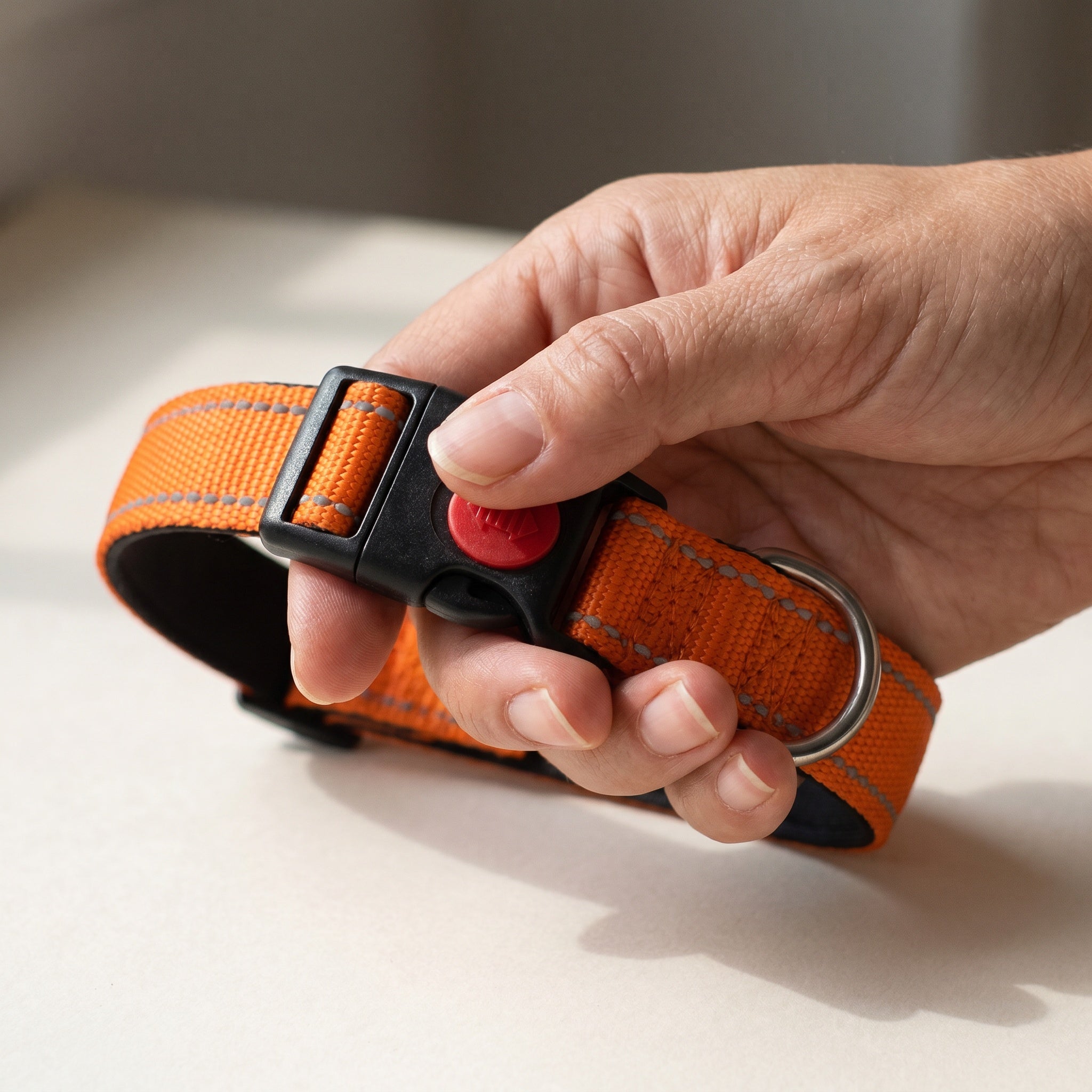Collier Chien Réglable Sécurisé