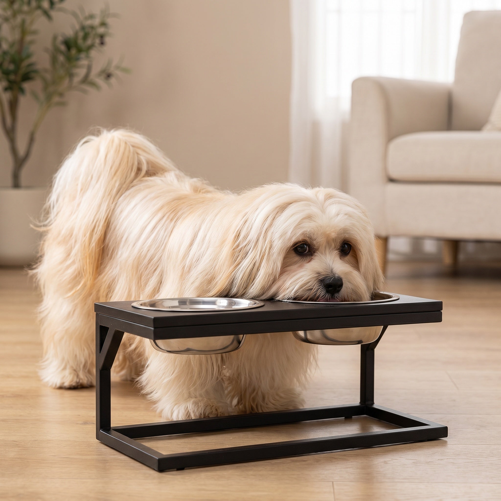 Gamelle surélevée noire en métal pour chien