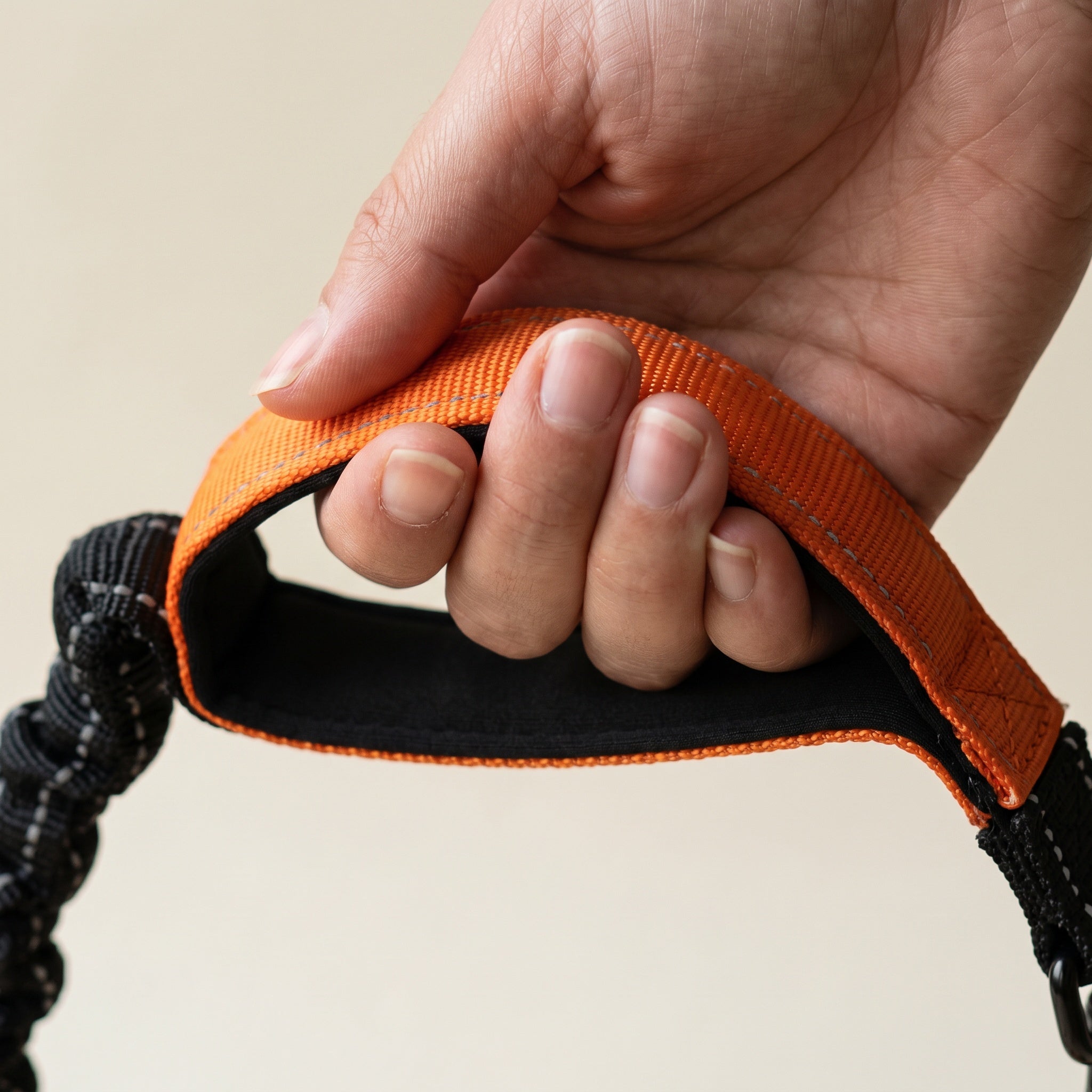 Laisse pour chien double élastique
