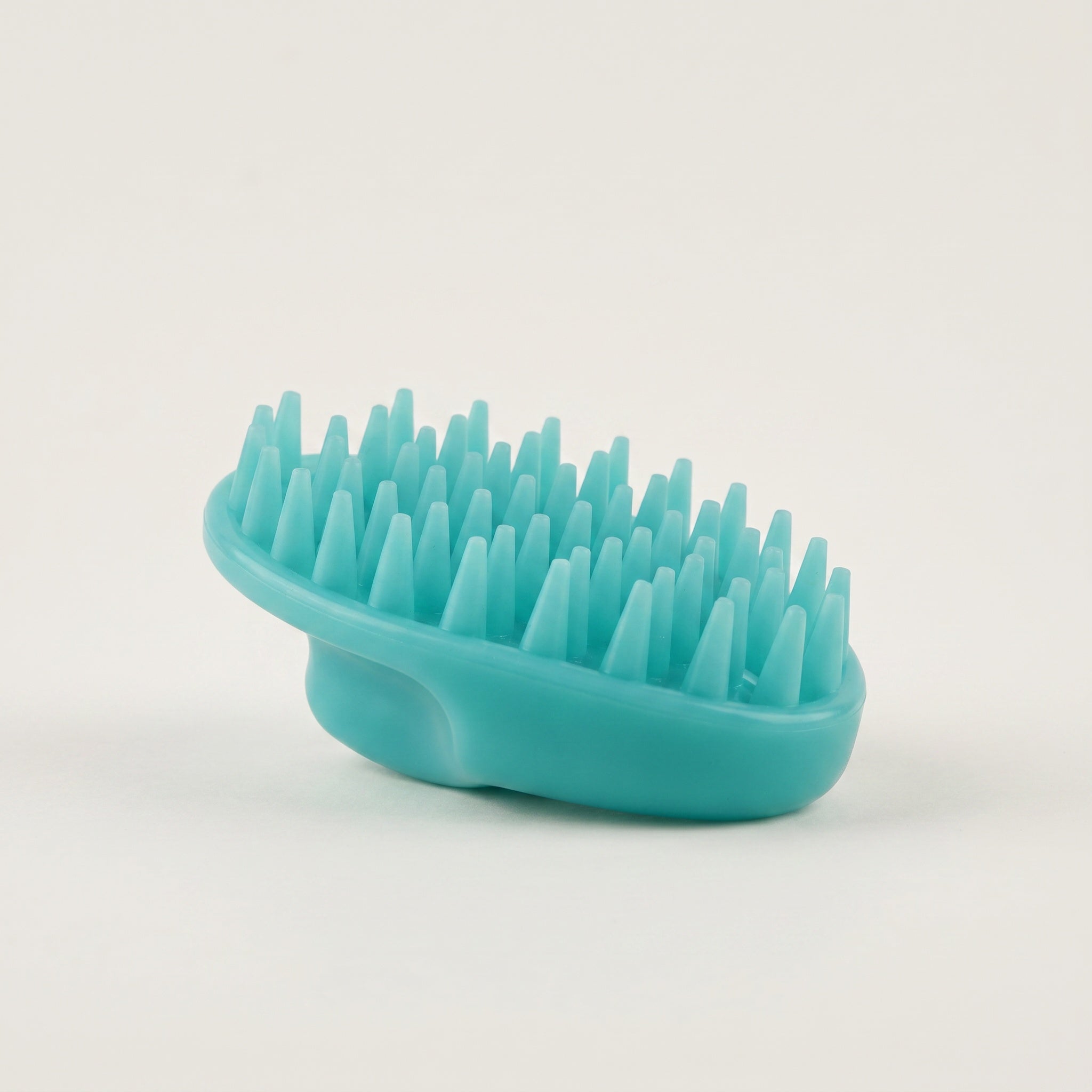 Brosse Massage Silicone pour chien