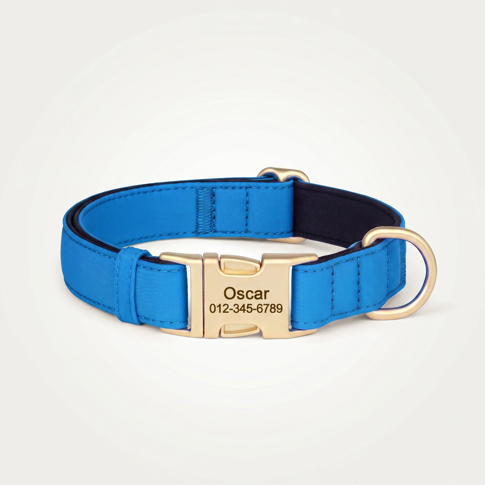 Collier personnalisable pour chien