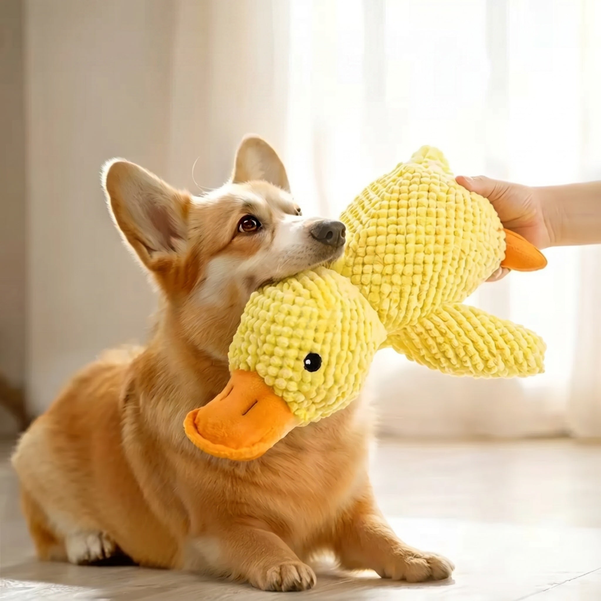 Jouet canard pour chien en peluche